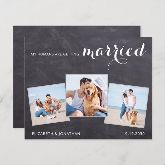 犬素朴の結婚3写真予算の日付を保存 (正面/裏面)