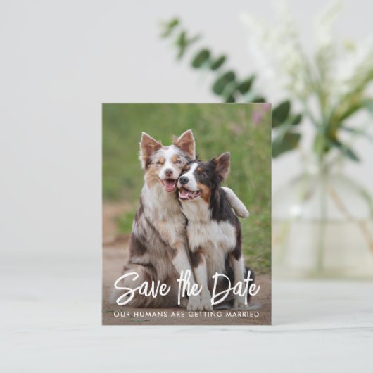 犬結婚のパーソナライズされたペット写真 案内ポストカード (スタンド正面)