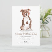 犬絵を描の母の日がペットを救出 シーズンカード (スタンド正面)