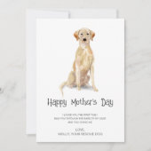 犬絵画の母の日 シーズンカード (正面)