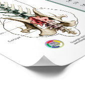 犬脊髄神経機能の獣医 ポスター (角)