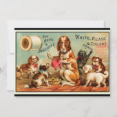 犬裁縫葉書 カード (正面)