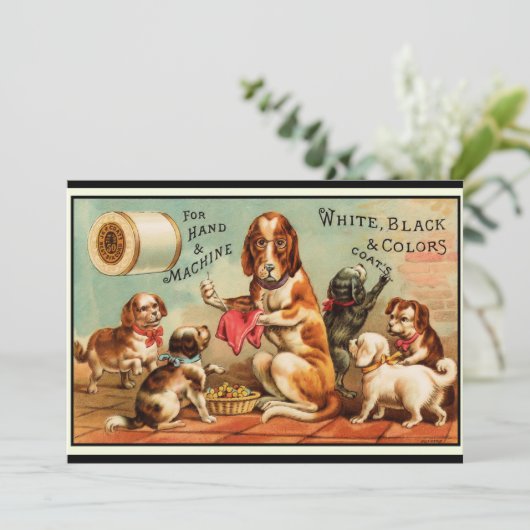 犬裁縫葉書 カード (スタンド正面)