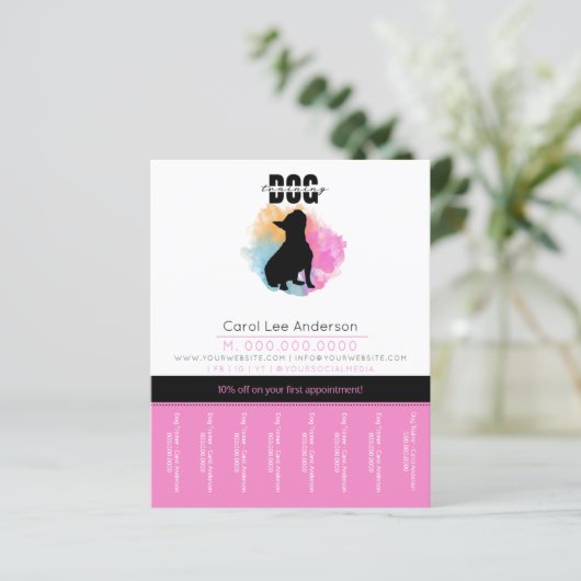 犬訓練 (スタンド正面)