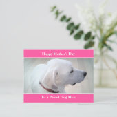 犬誇りを持った母かわいい白いラブラドールミックス犬のプロフィール シーズンポストカード (スタンド正面)