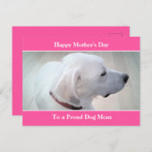 犬誇りを持った母かわいい白いラブラドールミックス犬のプロフィール シーズンポストカード (正面/裏面)