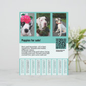 犬販売チラシテンプレート (スタンド正面)