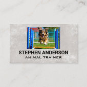 犬走の障害物コース 名刺 (正面)