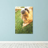 犬転がが背中に キャンバスプリント (インサイチュ (ウッドフロア))