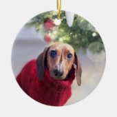犬追悼陶芸オーナメント セラミックオーナメント (正面)