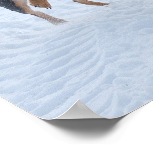 犬遊が雪の中に ポスター (角)