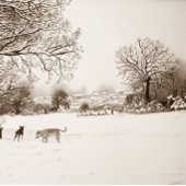 犬遊の冬の雪景色絵画風景 ペーパープレート