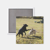 犬遊の マグネット (正面/裏面)