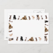 犬違うが一列に繁殖する ポストカード (正面/裏面)