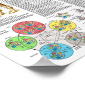 犬鍼治療ポイントの場所ポスター ポスター (角)