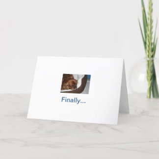 犬間抜けの引退 カード