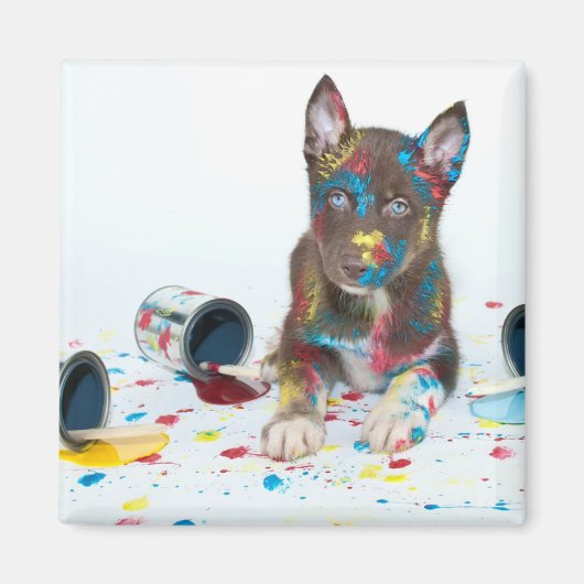 犬間抜けの毛得が絵を描い マグネット (正面)