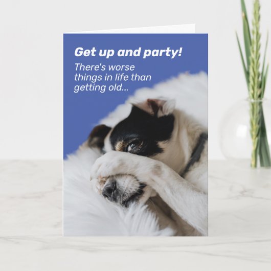 犬隠し顔-もっと悪いことがある誕生日 カード (正面)