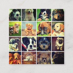 犬顔コラージュドッグウォーカートレーナーとシッター スクエア名刺