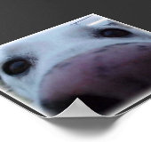 犬顔 ポスター (角)