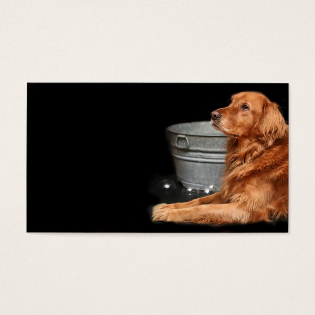 犬風呂 (正面)