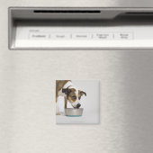 犬食べのボウルから マグネット (インサイチュ (食洗機))