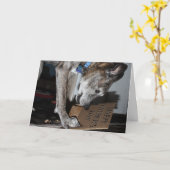 犬食べの父親の日の贈り物(犬の食べこそ) カード (黄色い花)