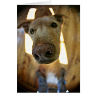 犬鼻のカスタマイズ可能なカード