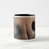 犬鼻の極度なクローズアップ ツートーンマグカップ (中央)