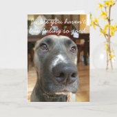 犬鼻は健康なカードを得ます カード (黄色い花)