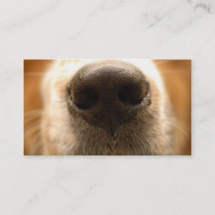 犬鼻獣医用名刺 名刺