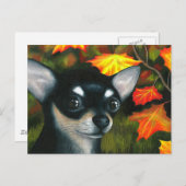 犬101黒チワワ ポストカード (正面/裏面)