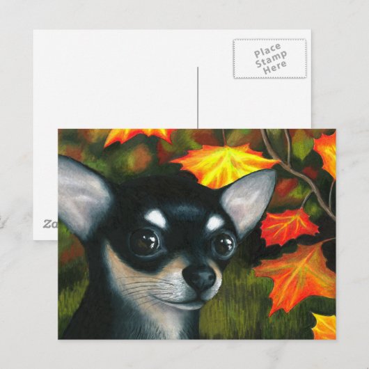 犬101黒チワワ ポストカード (正面/裏面)