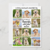 犬11フォトコラージュモダン悔やみや弔慰ペット記念館 サンキューカード (正面)