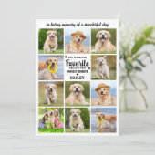 犬11フォトコラージュモダン悔やみや弔慰ペット記念館 サンキューカード (スタンド正面)