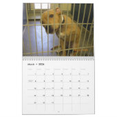 犬2010のカレンダーの本当つば カレンダー (3月 2026)