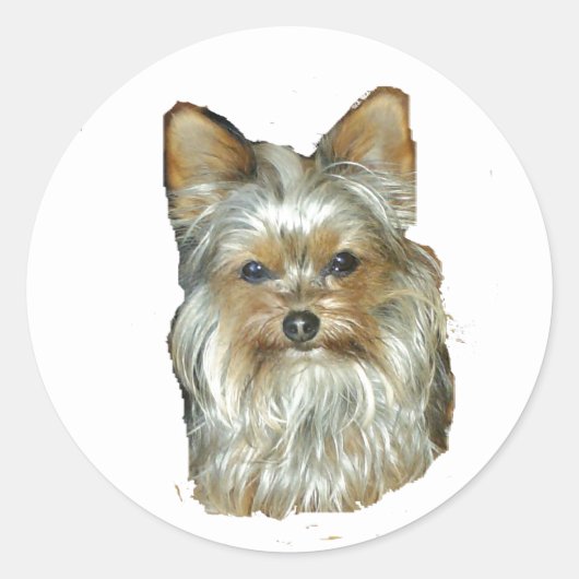 犬4B,ヨークシャーテリア,ステッカー ラウンドシール (正面)