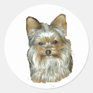 犬4B,ヨークシャーテリア,ステッカー ラウンドシール