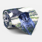 犬5、タイ ネクタイ (ロール)