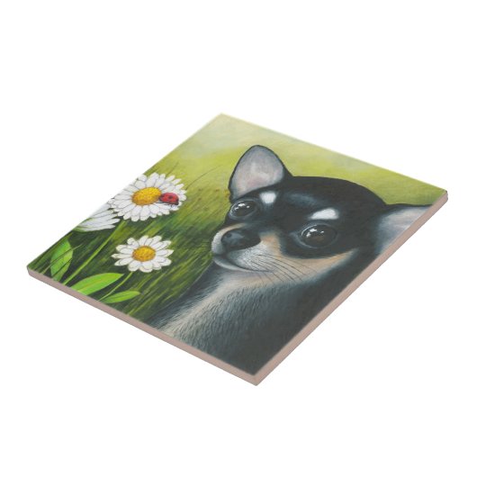 犬79の黒いチワワ タイル (側面)