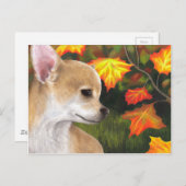 犬94チワワ ポストカード (正面/裏面)
