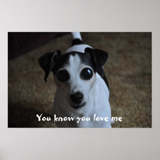犬、あなたは私を愛していることを知っている。 ポスター