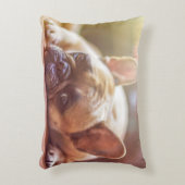 犬 アクセントクッション (正面(垂直))