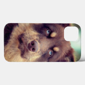 犬、オーストラリアの羊飼い、ペット Case-Mate iPhoneケース (裏面 (横))