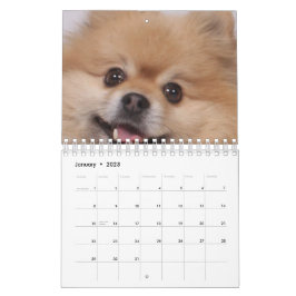 犬 カレンダー