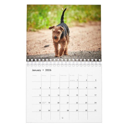 犬 カレンダー (1月 2026)