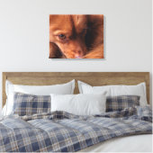 犬 キャンバスプリント (インサイチュ (寝室))