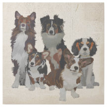 犬