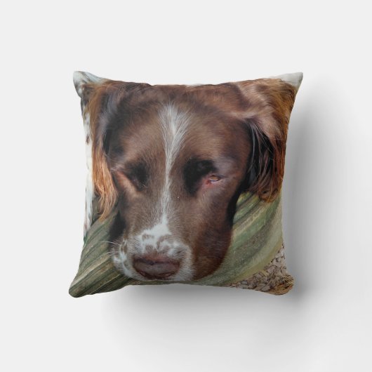 犬 クッション (裏面)