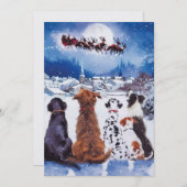 犬、クリスマス、犬、救助犬、休日、サンタ、 シーズンカード (正面/裏面)